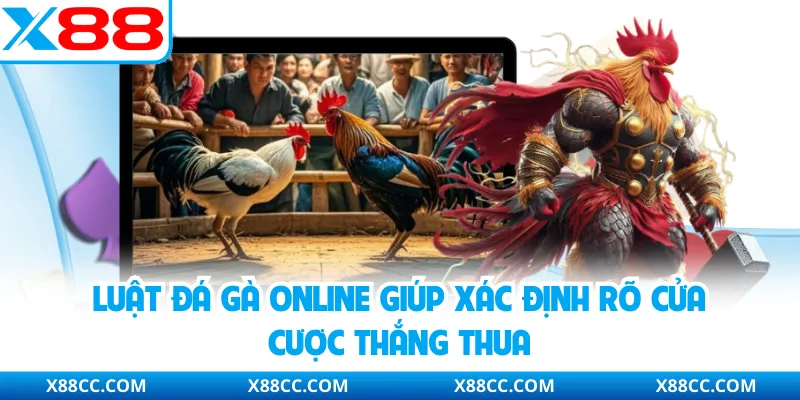 Luật Đá Gà Online X88 Và Các Nguyên Tắc Phân Định Thắng Thua 1 Luật Đá Gà Online X88 Và Các Nguyên Tắc Phân Định Thắng Thua
